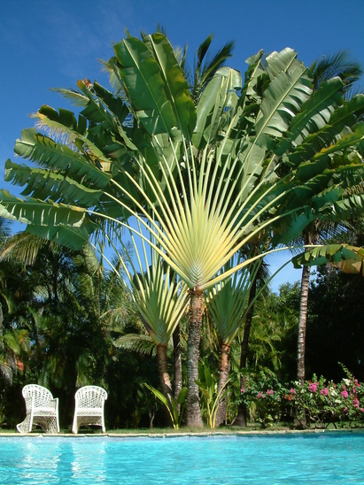 Affitto villa ai Caraibi - foto 1