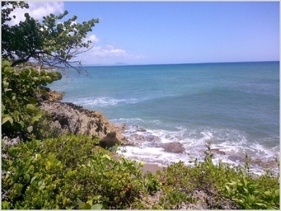 Caribbean villa rentals image 1