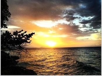 Dominican rentals image 3