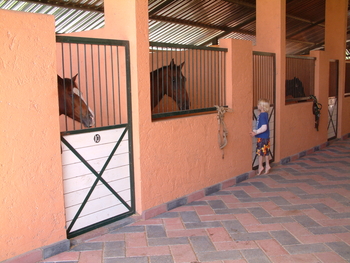 Caribbean villa rental photo 1