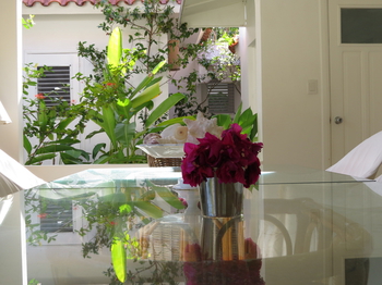 vacation rentals in Dominican Republic pic 1