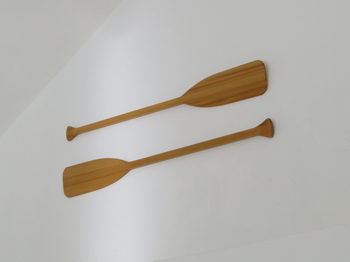 Vacation rentals in Dominican Republic pic 3